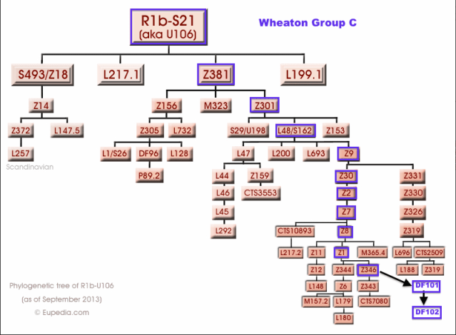 Wheaton Group C