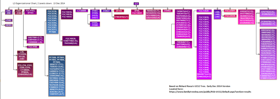L2 Organizational chart 2