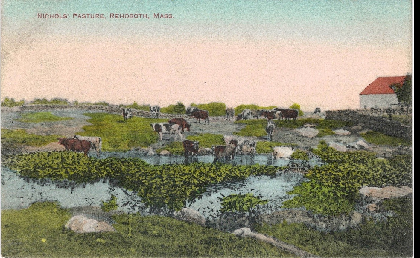 Nichols Pasture Rehoboth