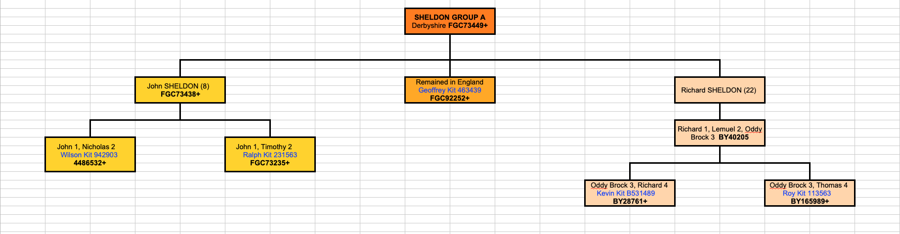 SHELDON Group A Phylogeentic tree